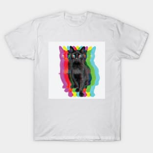 Midnight the Cat T-Shirt